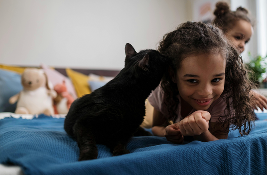 Adopter un Chat de Race : Guide Complet pour Débuter