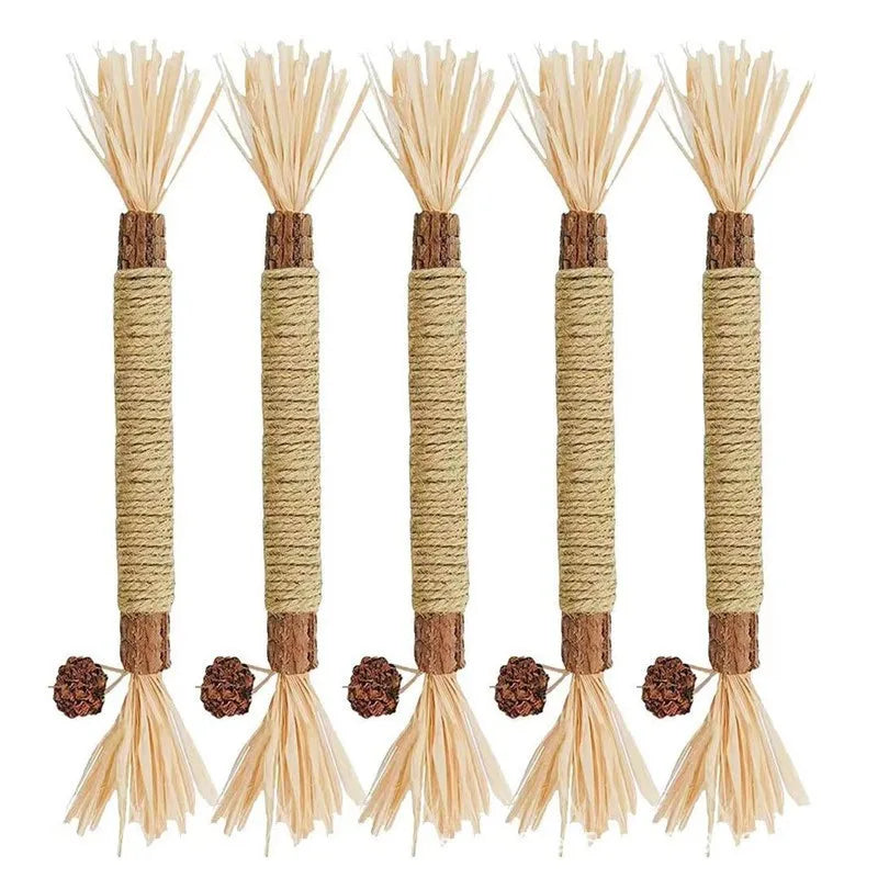 Bâtonnet de Polygonum en Bois