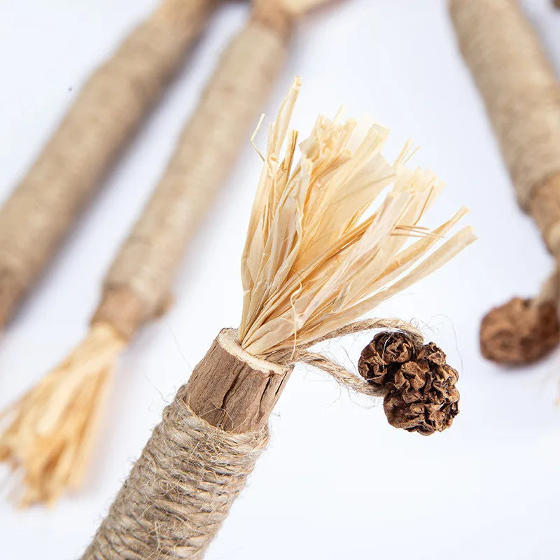 Bâtonnet de Polygonum en Bois
