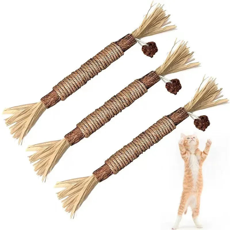 Bâtonnet de Polygonum en Bois