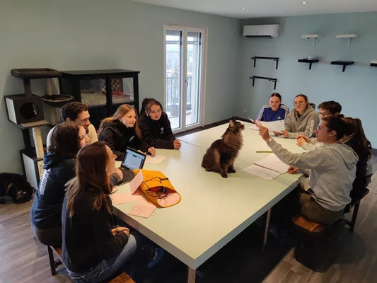 Accueil des lycéens des Combrailles chez Volcagriffes