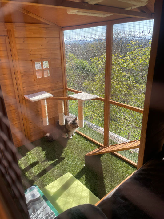 Chalet pension chat 7m² – Volcagriffes